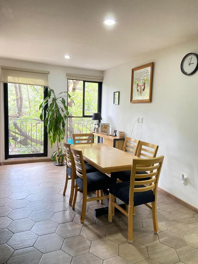 Apartment With Terrace Down Town Мехіко Екстер'єр фото